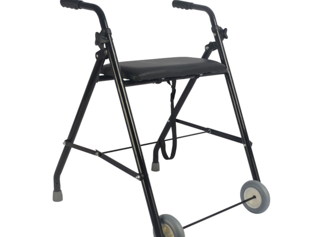Rollator déambulateur en Acier 2 Roues